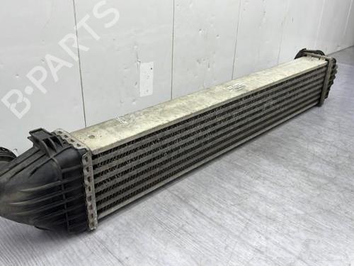 Intercooler MERCEDES-BENZ A-CLASS (W169) A 180 CDI (169.007, 169.307) | BP23750021M30 