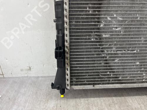 Water radiator RENAULT ESPACE IV (JK0/1_) 2.0 dCi (JK01, JK02, JK1J, JK1K, JK1H) | BP36093870M31 - Image 7