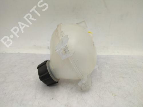 Expansion tank DACIA SANDERO II 1.5 Blue dCi 95 (B8JL) | BP29208505C120 