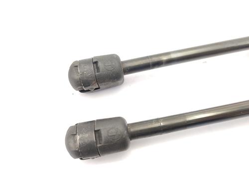 Hood lift support RENAULT SCÉNIC III (JZ0/1_) 1.5 dCi | BP23757762C139 