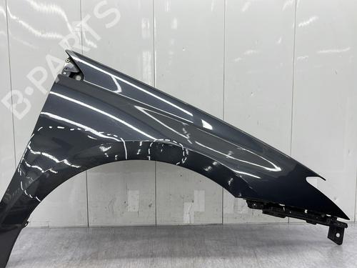 Used Right front fenders RENAULT LAGUNA III (BT0/1) 2.0 dCi (BT01, BT08, BT09, BT0E, BT0K, BT12, BT1C, BT1D,... (150 hp) 25475103
