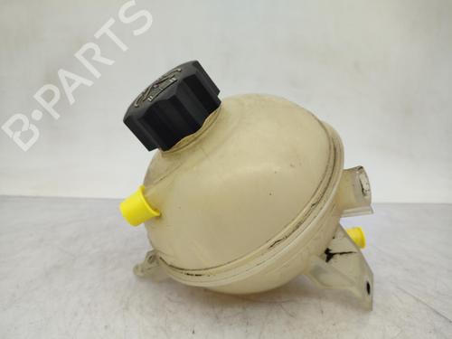 Expansion tank PEUGEOT 206+ (2L_, 2M_) 1.4 HDi eco 70 | BP23719747C120 