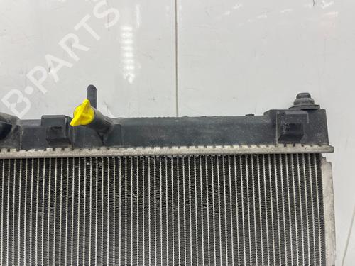 Køler Køler TOYOTA YARIS (_P9_) 1.33 VVT-i (NSP90_, NSP90R) (100 hp) 36093833 36093833