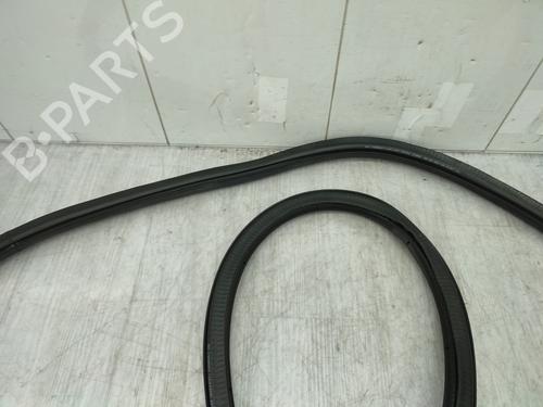 Rubber door seal VW TIGUAN (5N_) 2.0 TDI | BP24883452C142 