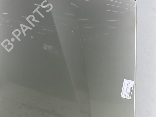 Hood RENAULT LAGUNA II (BG0/1_) 1.9 dCi | BP32134084C1