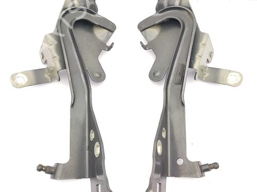 Used Hinge/Door check strap RENAULT SCÉNIC III (JZ0/1_) 1.5 dCi (106 hp) 23754280