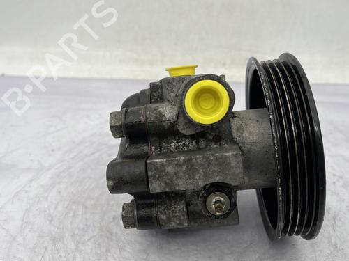Steering pump CHEVROLET AVEO / KALOS Hatchback (T250, T255) 1.2 LPG | BP29571486M99 