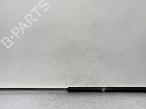 Used Hood lift support RENAULT MEGANE III Hatchback (BZ0/1_, B3_) 1.9 dCi (BZ0N, BZ0J) (131 hp) 24509443