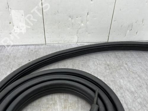 Gummiliste DACIA SPRING EV (B6M1) | BP23758144C142  - Image 5