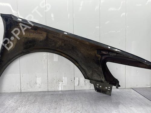 Błotnik przedni lewy VW PHAETON (3D1, 3D2, 3D3, 3D4, 3D6, 3D7, 3D8, 3D9) 3.0 V6 TDI 4motion | BP29512704C41 