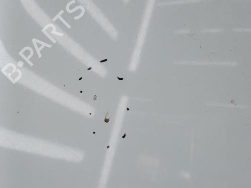 Hood RENAULT LAGUNA I (B56_, 556_) 1.8 (B56S/T/0) | BP23677490C1 