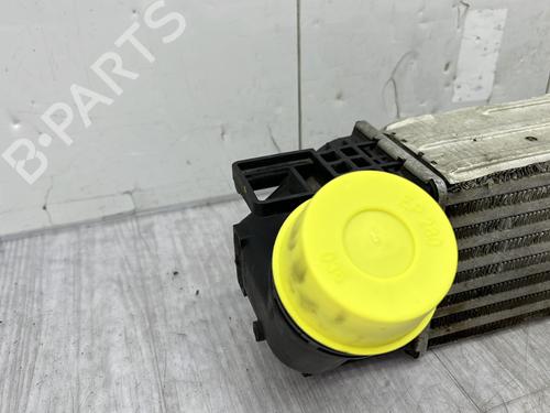 Intercooler DACIA DUSTER (HS_) 1.5 dCi 4x4 (HSMC, HSMD) | BP27220871M30  - Image 8