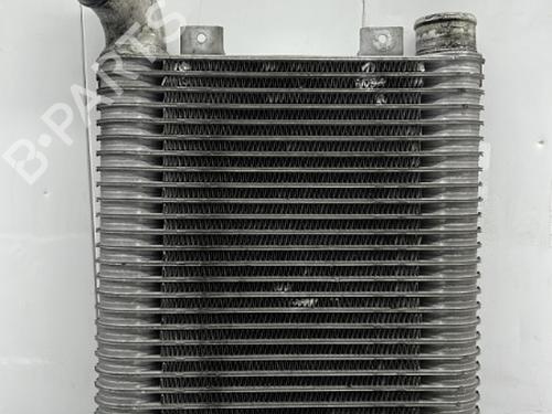 Used Intercooler HYUNDAI SANTA FÉ I (SM) 2.0 CRDi (113 hp) 23758800
