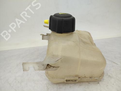 Used Expansion tank RENAULT SCÉNIC III (JZ0/1_) 1.5 dCi (106 hp) 23676967