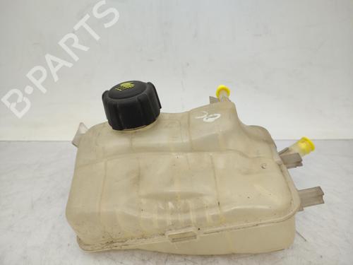 expansion-tank-renault-scenic-iii-jz01_-2008-2009-2010-2011-2012-2013-2014-2015-2016-23676967 main image