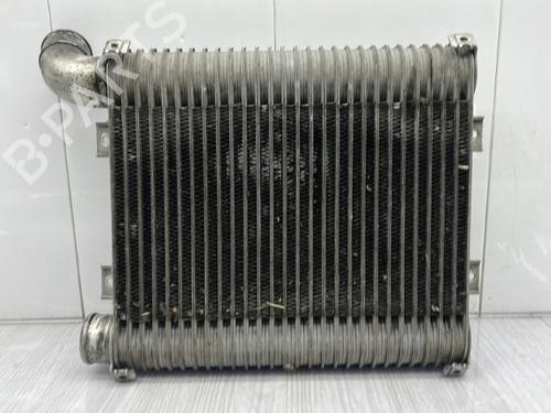 Intercooler HYUNDAI SANTA FÉ I (SM) 2.0 CRDi | BP23758800M30 
