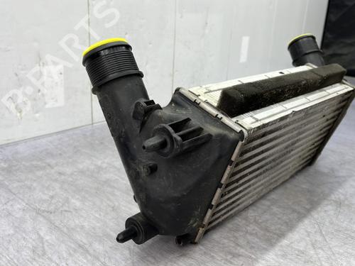 Ladeluftkühler FORD FIESTA VI (CB1, CCN) 1.0 EcoBoost | BP23751488M30 