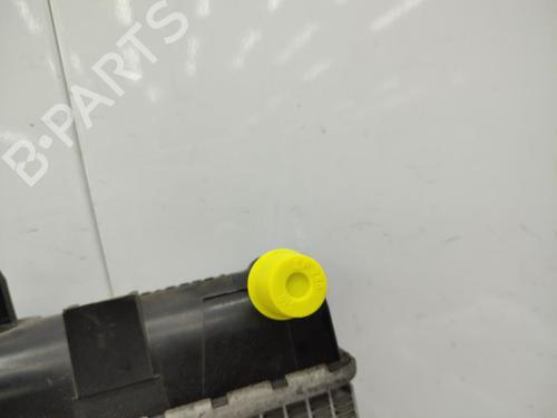 Water radiator PEUGEOT 308 I (4A_, 4C_) 2.0 HDi | BP23707664M31 