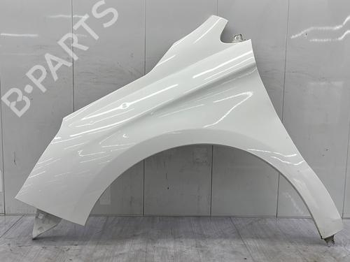 left-front-fenders-citroen-c4-ii-nc_-2009-33631026 main image