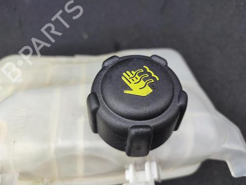 Used Expansion tank RENAULT MEGANE III Hatchback (BZ0/1_, B3_) 1.9 dCi (BZ0N, BZ0J) (131 hp) 23730839