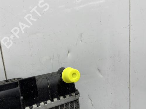 water-radiator-citroen-c4-ii-nc_-2009-33969341 main image