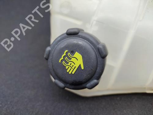 Expansion tank RENAULT KANGOO Express (FW0/1_) 1.5 dCi 75 (FW07, FW10, FW04) | BP23729409C120 