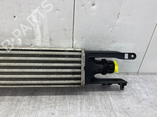 Intercooler OPEL CORSA D (S07) | BP40551738M30 - Image 6