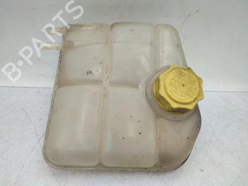 Used Expansion tank FORD TRANSIT CONNECT (P65_, P70_, P80_) 1.8 Di (75 hp) 29634705
