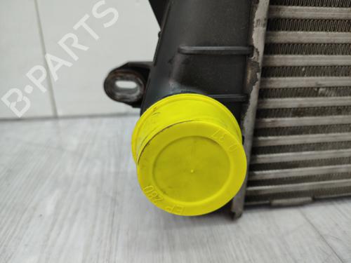 Intercooler RENAULT TRAFIC II Van (FL) 2.0 dCi 90 (FL0H, FL00, FL01, FL0M, FL0P, FL0S) | BP23740178M30 - Image 5