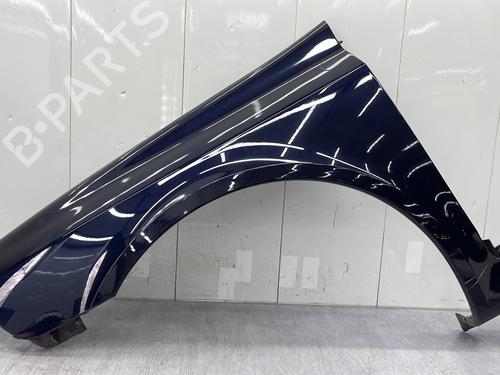 Used Left front fenders RENAULT LAGUNA II Grandtour (KG0/1_) 1.9 dCi (KG0G) (120 hp) 24865822