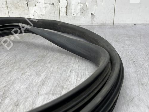 Gummiliste DACIA DUSTER (HM_) 1.5 dCi 115 4x4 | BP33040977C142  - Image 6