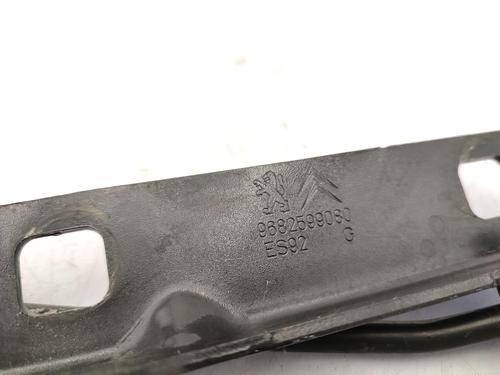 Hinge/Door check strap PEUGEOT 3008 I MPV (0U_) 1.6 HDi | BP23678126C146 