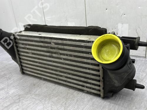 Intercooler FORD FIESTA VI (CB1, CCN) 1.0 EcoBoost | BP25890495M30 - Image 4