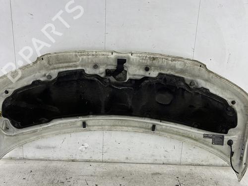 Hood VW TRANSPORTER T5 Van (7HA, 7HH, 7EA, 7EH) 1.9 TDI | BP27571229C1 