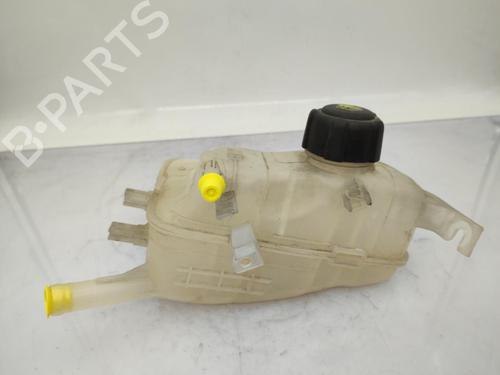 Used Expansion tank RENAULT GRAND SCÉNIC III (JZ0/1_) 1.6 dCi (JZ00, JZ12) (130 hp) 23728770