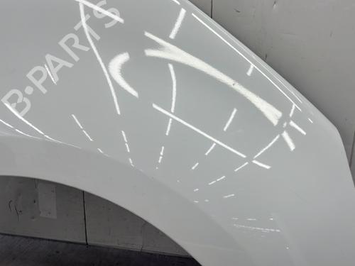 Right front fenders RENAULT SCÉNIC III (JZ0/1_) 1.5 dCi | BP23756533C42 
