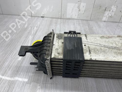 Intercooler RENAULT LAGUNA III (BT0/1) 2.0 dCi (BT07, BT0J, BT14, BT1A, BT1S) | BP37717370M30 - Image 8