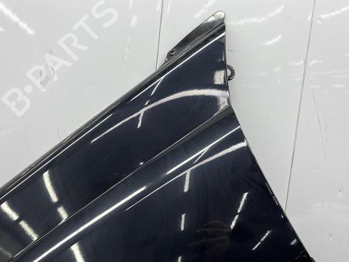 Left front fenders RENAULT MEGANE II Coupé-Cabriolet (EM0/1_) 1.9 dCi | BP30538436C41