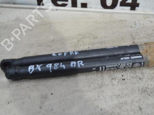 Tailgate lift support FIAT PUNTO (188_) 1.3 JTD 16V | BP23666032C138 