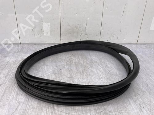 Used Rubber door seal RENAULT CLIO V (B7_) 1.0 TCe 90 (B7MT) (91 hp) 23683342