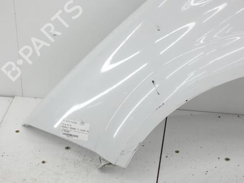 Left front fenders RENAULT MEGANE II (BM0/1_, CM0/1_) 1.5 dCi (BM1F, CM1F) | BP23665182C41 