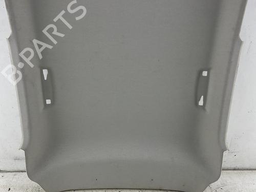 Interiør taket RENAULT CLIO V (B7_) 1.5 Blue dCi 85 (B7AG) | BP30731016I12