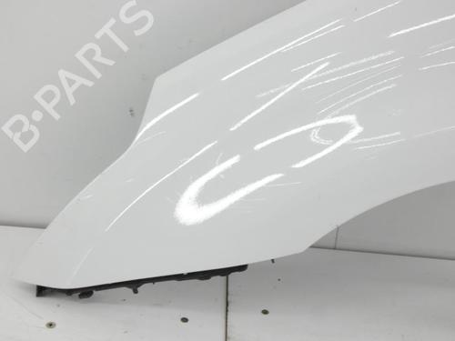 Left front fenders CITROËN C4 Coupe (LA_) 1.6 HDi | BP23673245C41 
