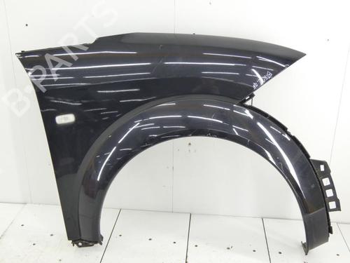 Right front fenders AUDI A2 (8Z0) 1.6 FSI | BP23700991C42 