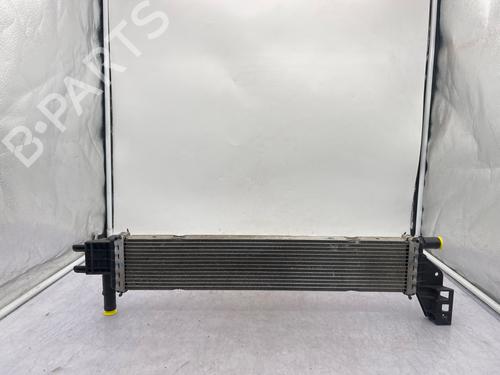 Water radiator DACIA SANDERO II 1.5 dCi 75 / Blue dCi 75 (B8JW, B8M4, B8AH, B8M7, B8M6) | BP36261300M31 - Image 6