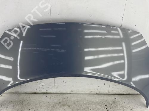 Used Hood RENAULT SCÉNIC II (JM0/1_) 1.9 dCi (JM14) (131 hp) 27249913
