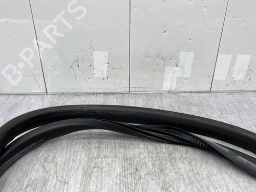 Gummiliste RENAULT MEGANE IV Hatchback (B9A/M/N_) 1.2 TCe 130 (B9MR) | BP23868329C142 - Image 2