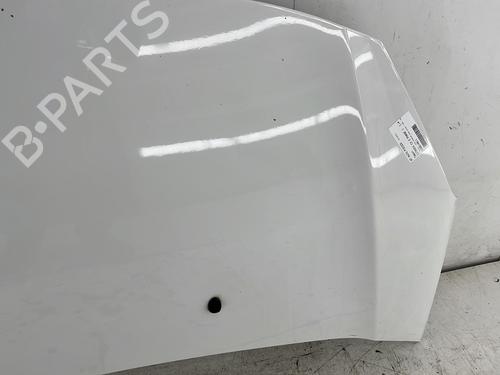 Hood CITROËN C3 II (SC_) 1.4 HDi 70 (SC8HZC, SC8HR0, SC8HP4) | BP29243259C1 