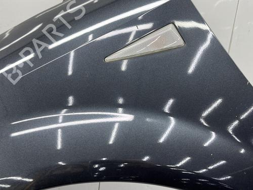 Left front fenders RENAULT SCÉNIC II (JM0/1_) 1.5 dCi (JM1E, JM16) | BP23682019C41 