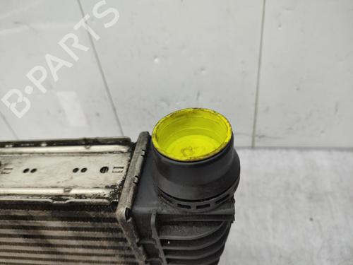 Ladeluftkühler RENAULT CLIO III Grandtour (KR0/1_) 1.5 dCi | BP23732694M30 